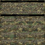 Benutzerdefiniertes authentisches Salute To Service Baseball-Trikot in Camo-Schwarz-City-Creme Benutzerdefiniertes authentisches Salute To Service Baseball-Trikot in Camo-Schwarz-City-Creme